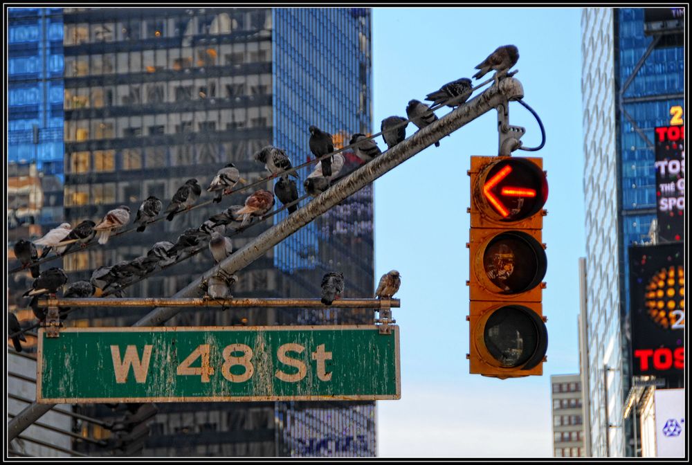 New York 2015 - Broadway traffic lights