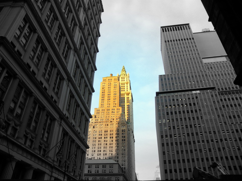 NEW YORK (3) - Woolworth Building