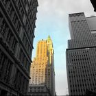 NEW YORK (3) - Woolworth Building