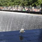 New York 9/11 Memorial