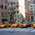 New York Cabs