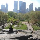 new york - central park