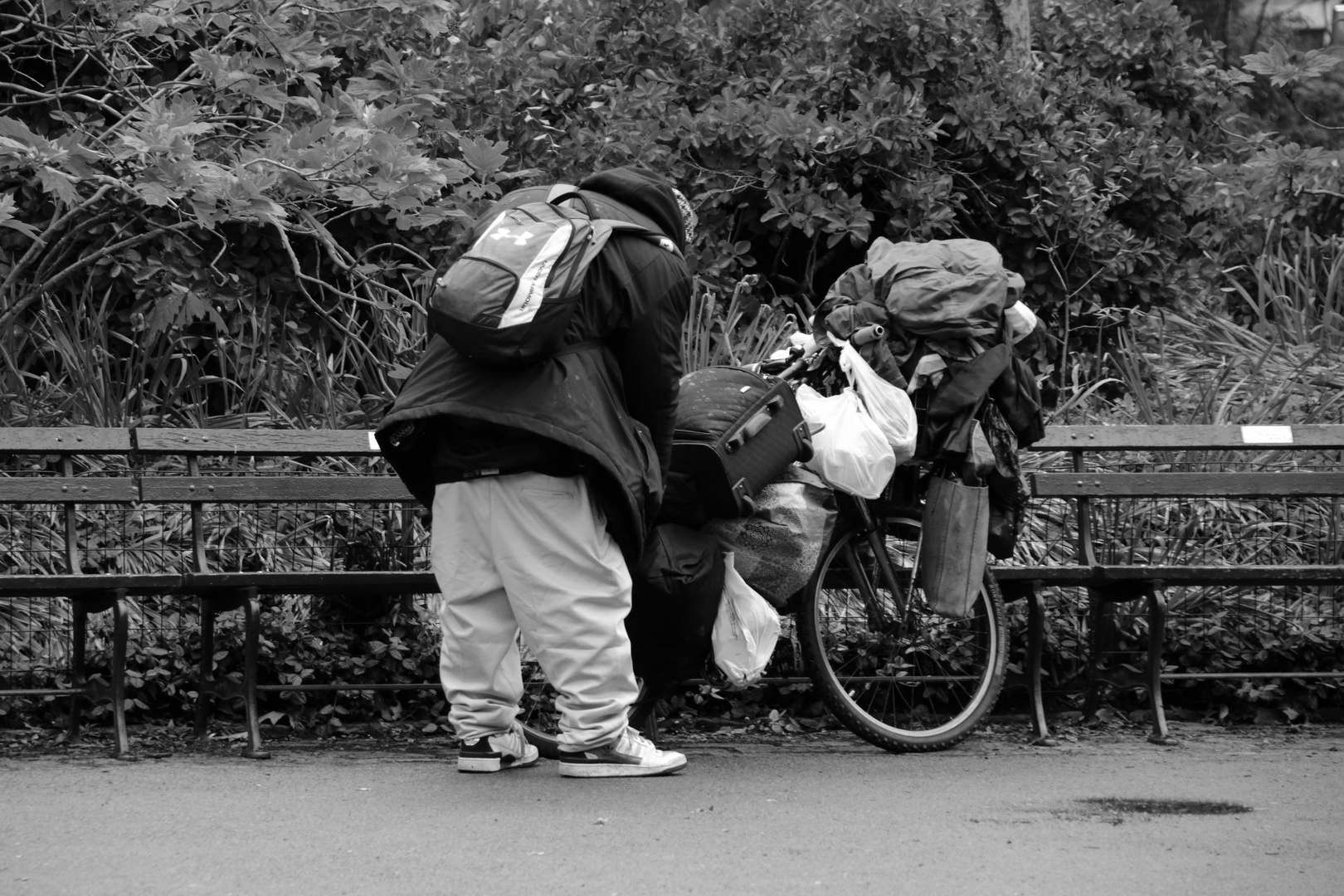 New York, Central Park