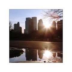 New York Central Park Puddle