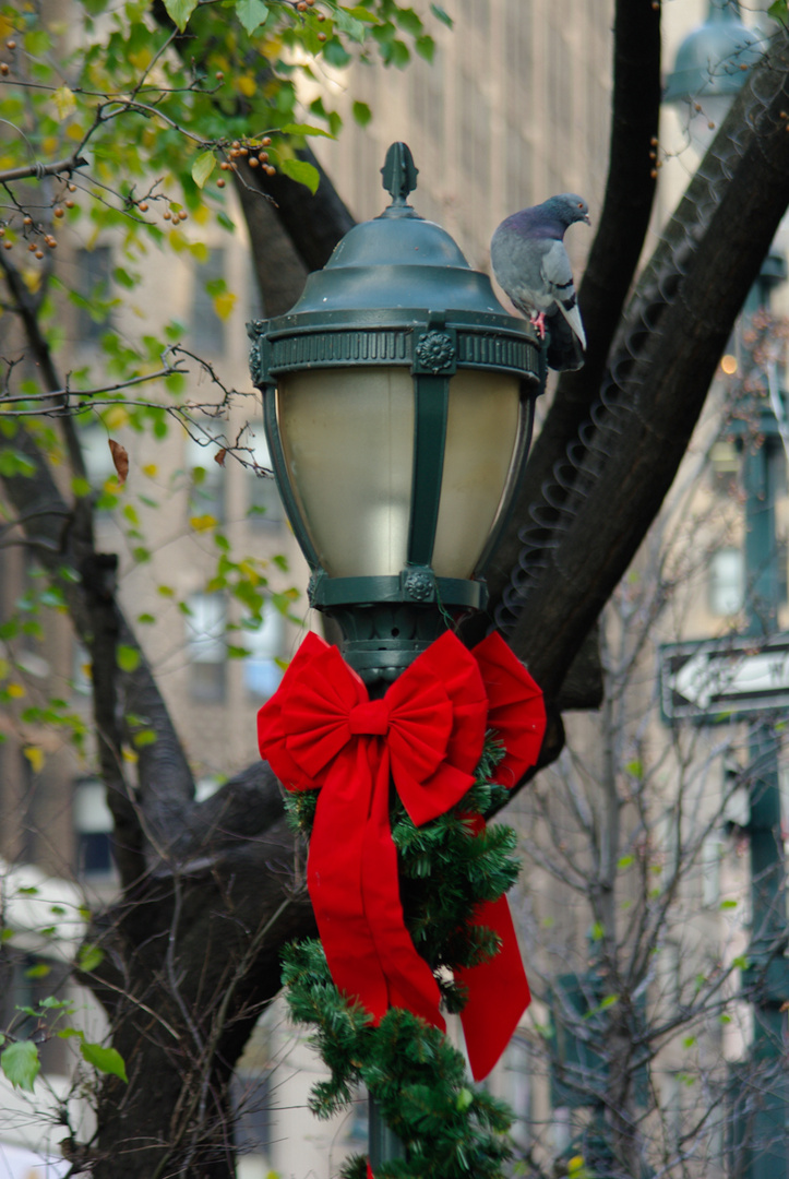 New York - Christmas 2011 - 1