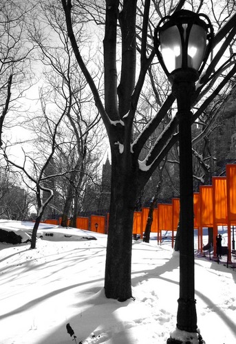 New York, Christo's Gates