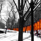 New York, Christo's Gates