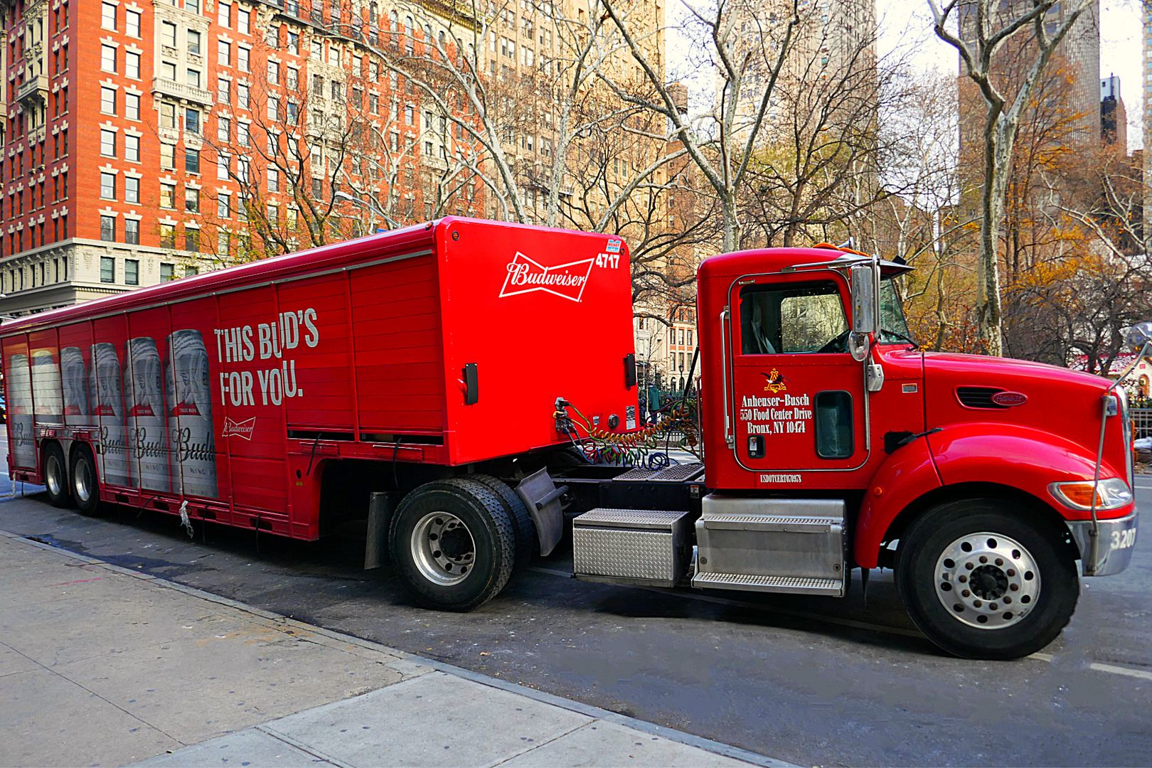 New York City Budweiser