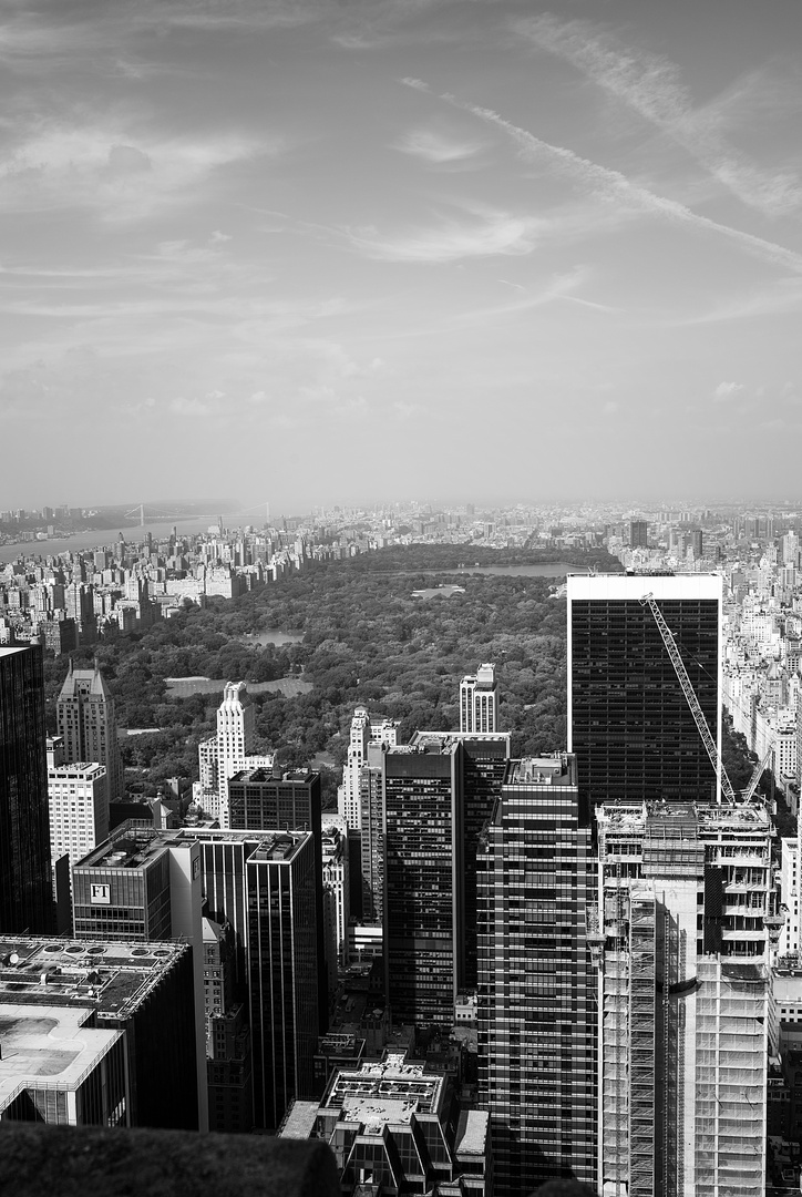 New York City Central Park from above