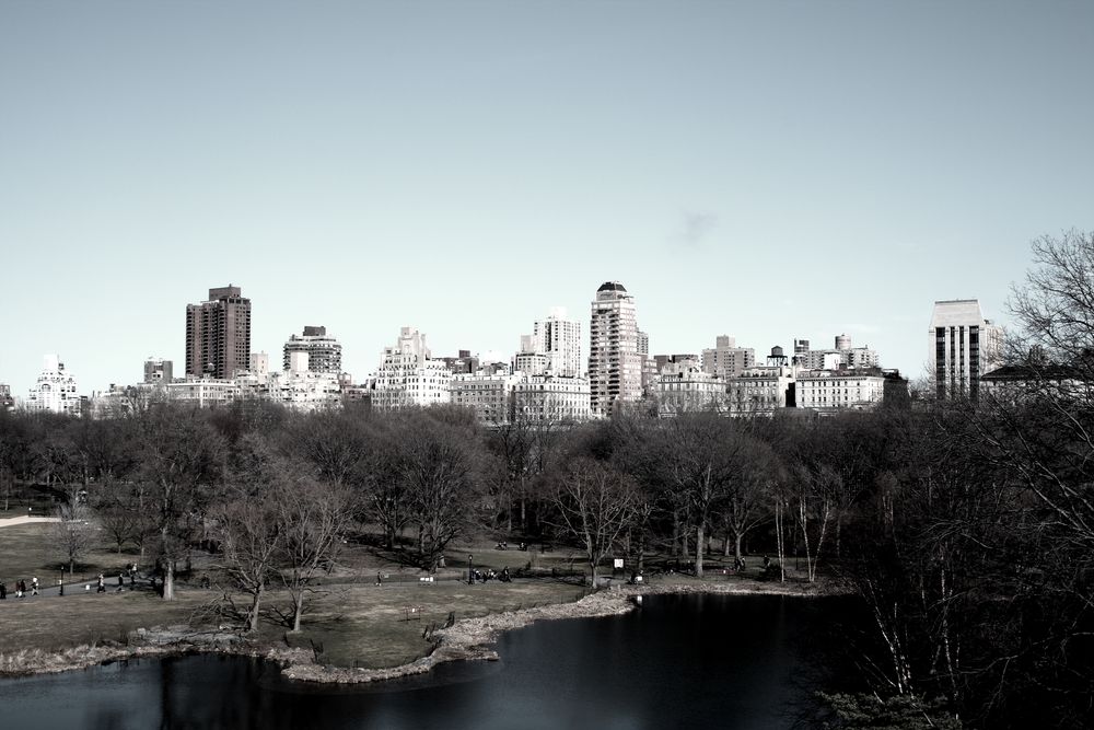 New York City - Central Park II