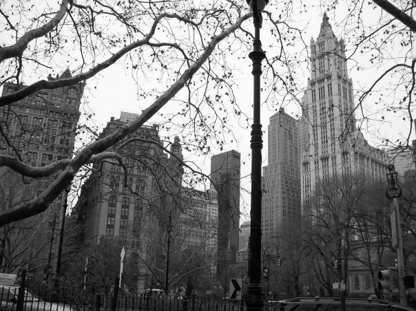 New York, City Hall Park