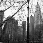 New York, City Hall Park