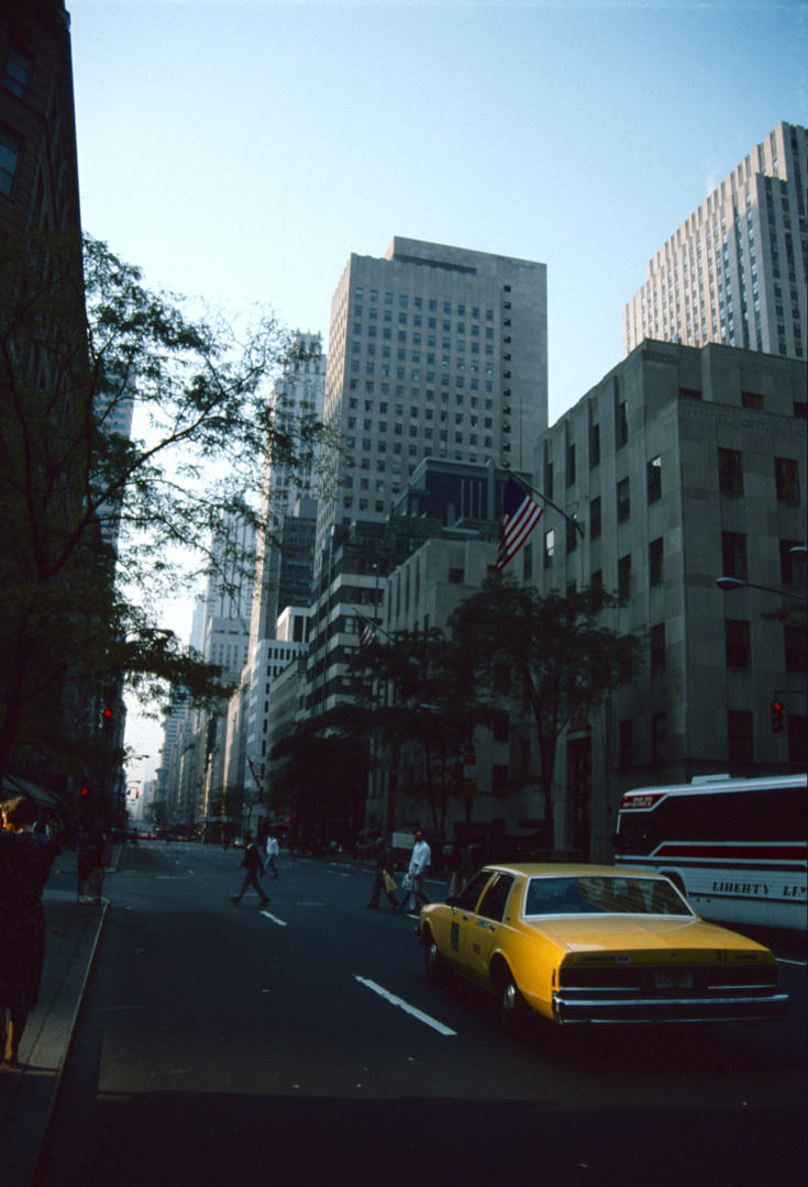 New York City - Manhattan - Fifth Avenue