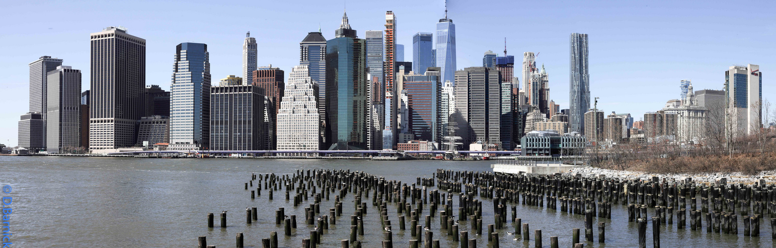 New York City Skyline