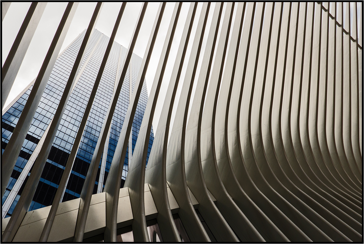 New York City | the oculus |