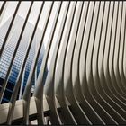New York City | the oculus |