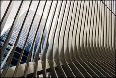 New York City | the oculus |