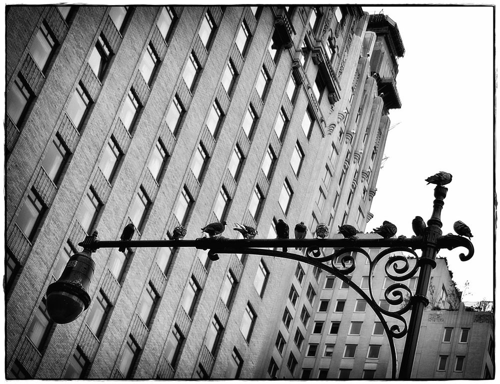 New York N°10