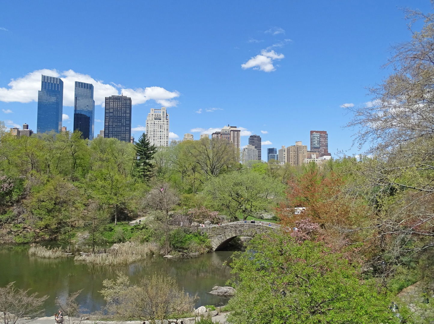 NEW YORK, NEW YORK - Central Park