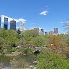 NEW YORK, NEW YORK - Central Park