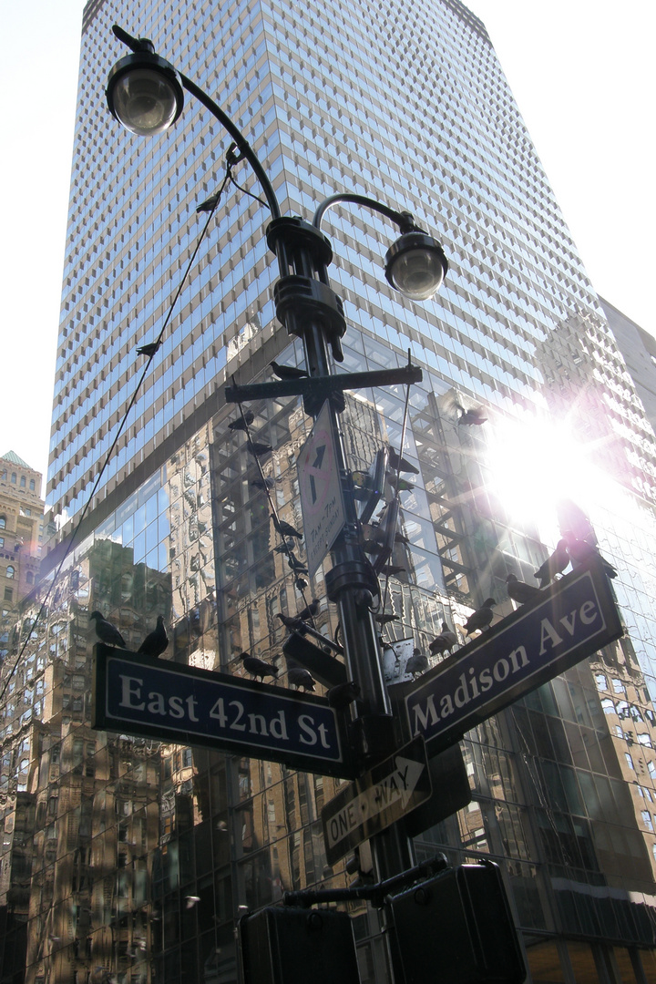 New York, New York ... (Time Square)