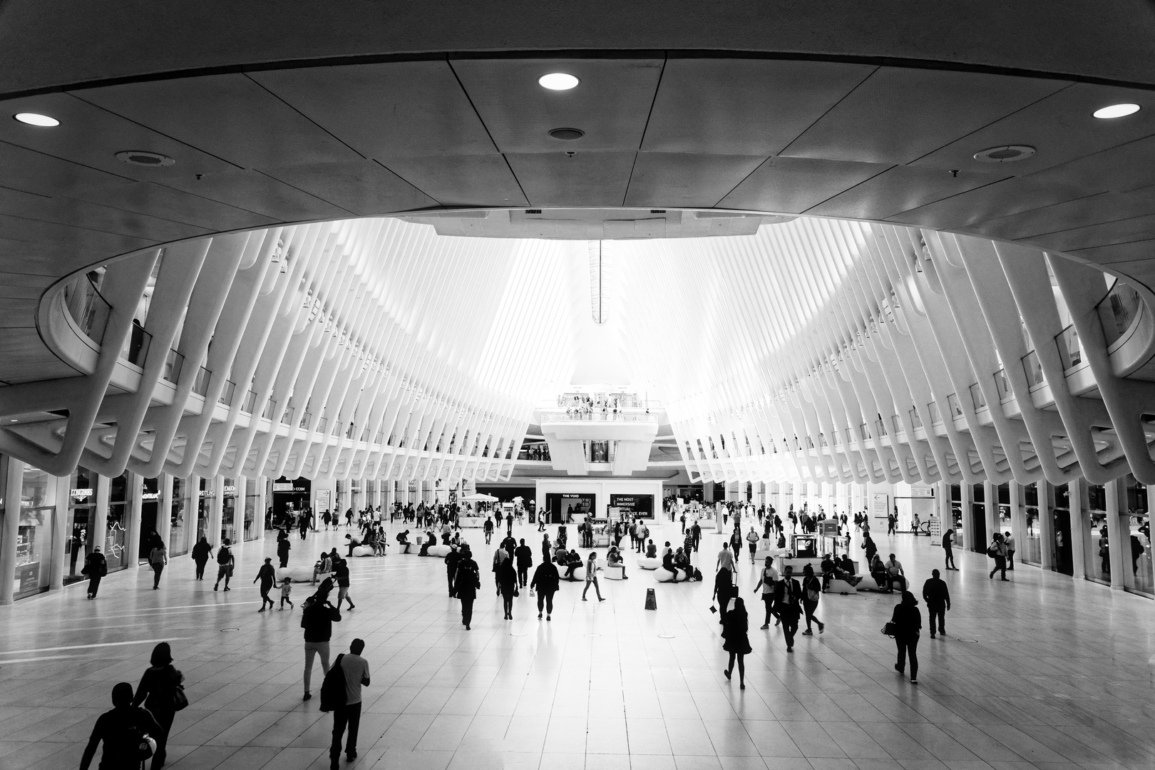 New York-Oculus