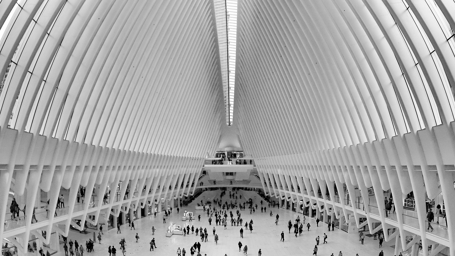 New York: Oculus, the transit hub