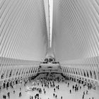 New York: Oculus, the transit hub