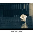 [New York / Paris]