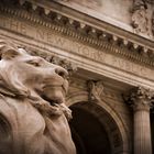 New York Public Library