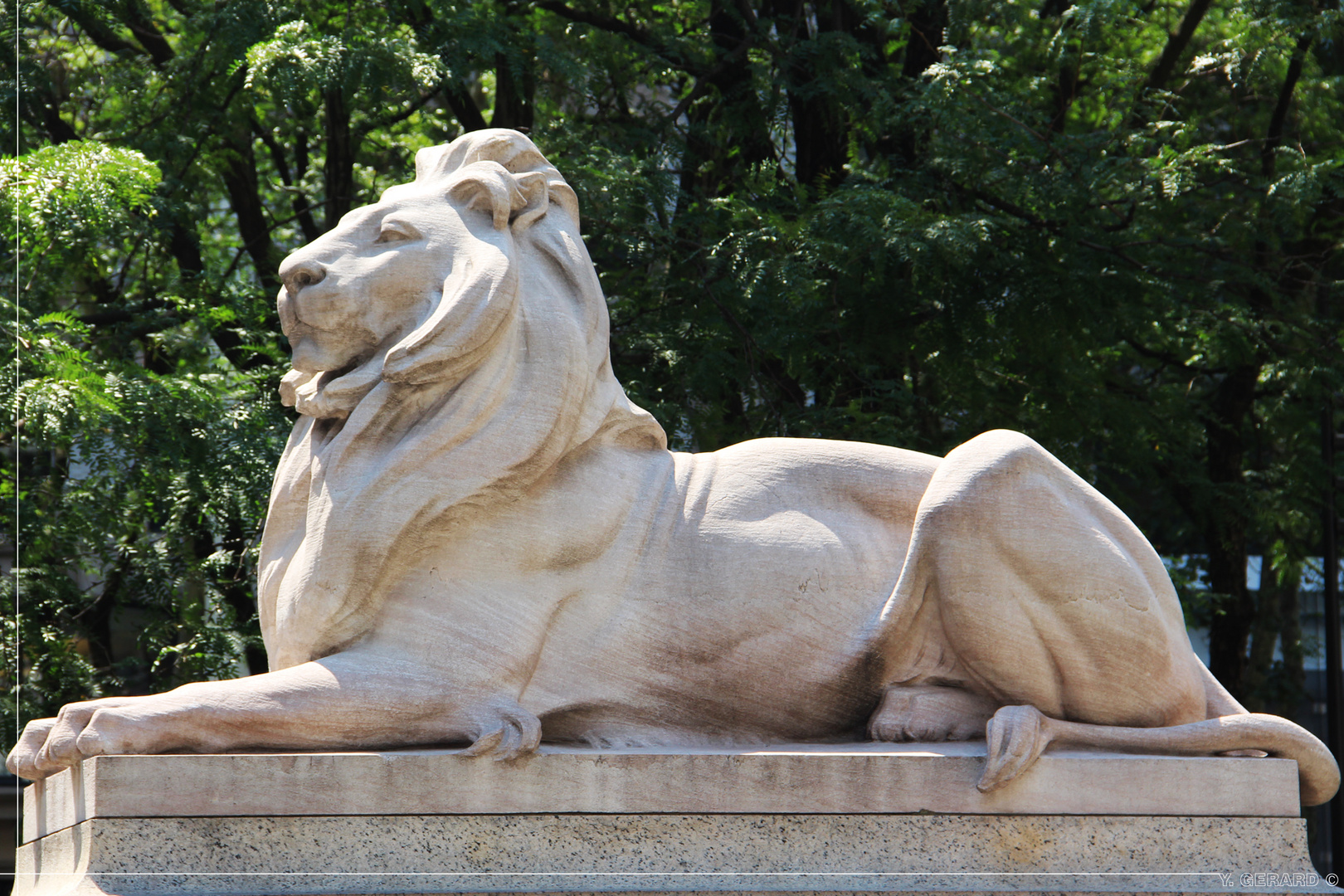 New York Public Library - Guardian