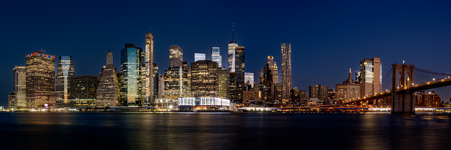 New York Skyline vom Brooklyn Park aus