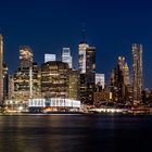 New York Skyline vom Brooklyn Park aus