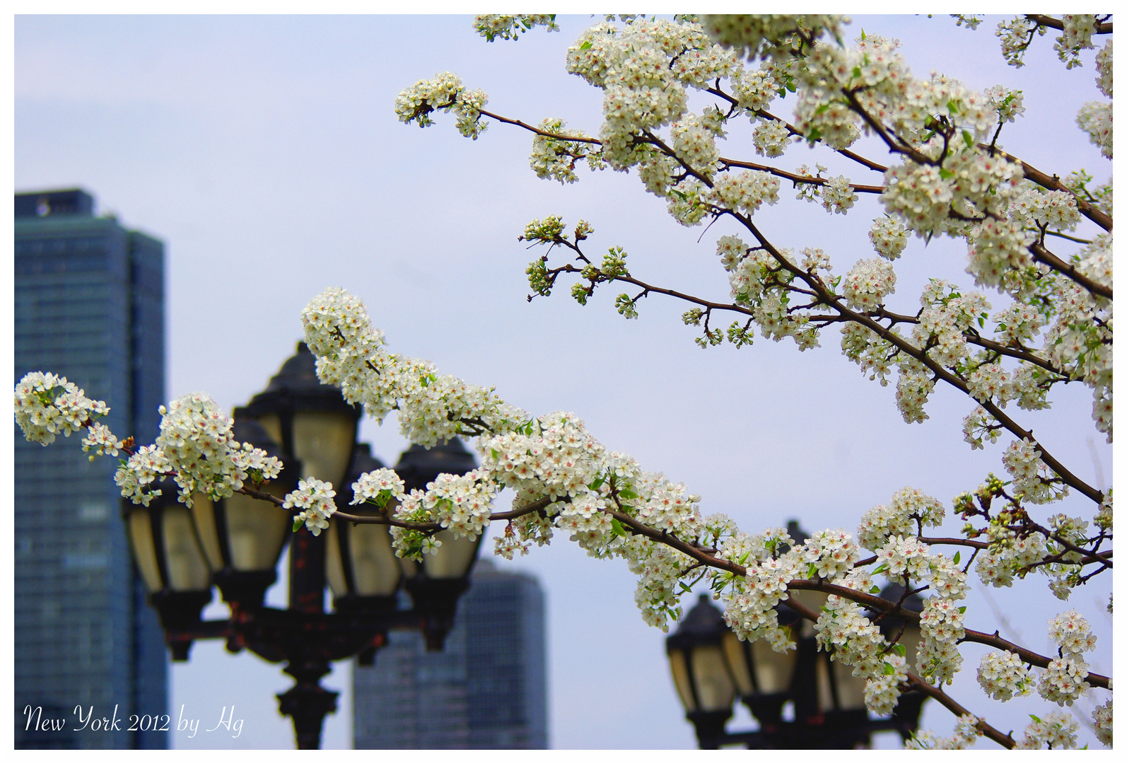 New York -Springtime