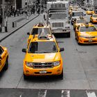 New York Taxi