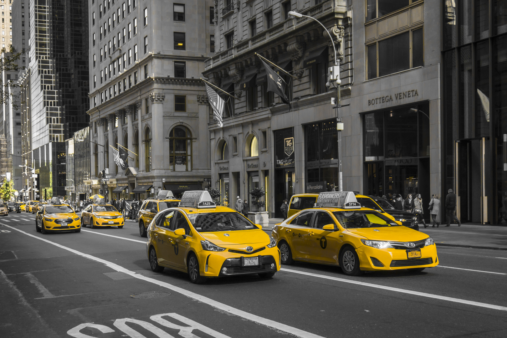 New York Taxis