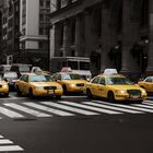 New York Taxis