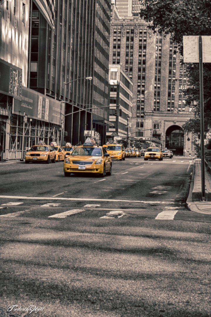 New York Taxis