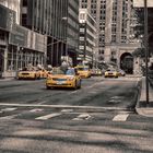 New York Taxis