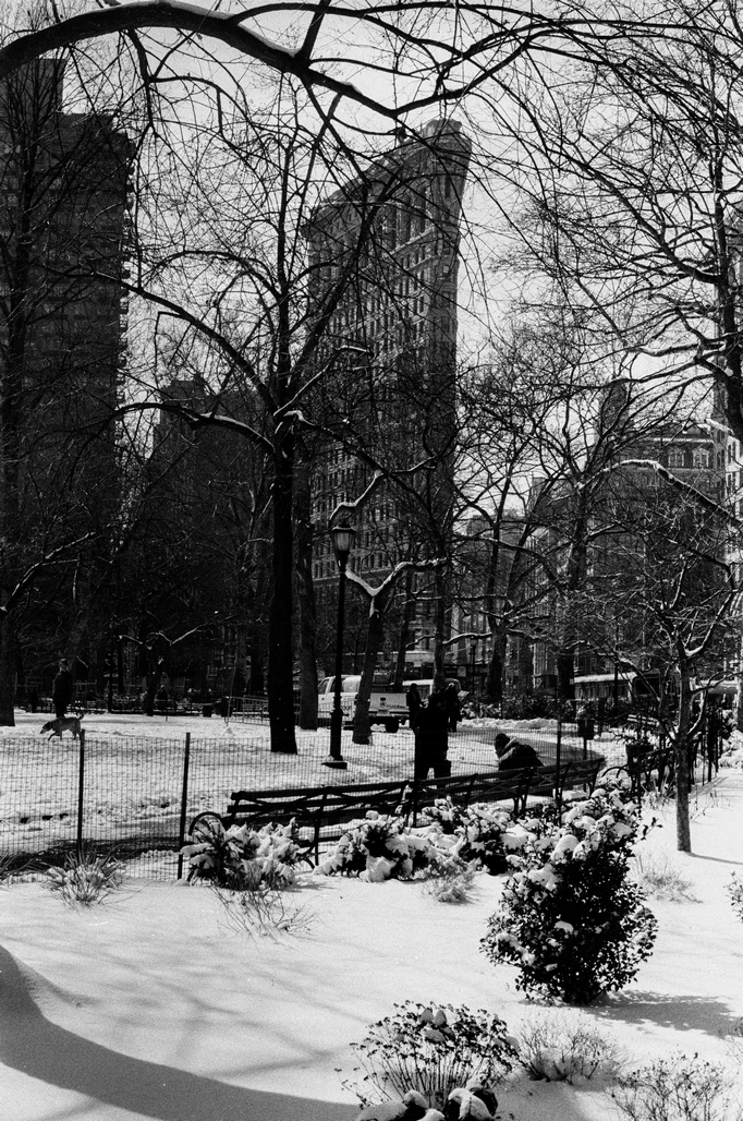 new york, winter