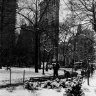 new york, winter