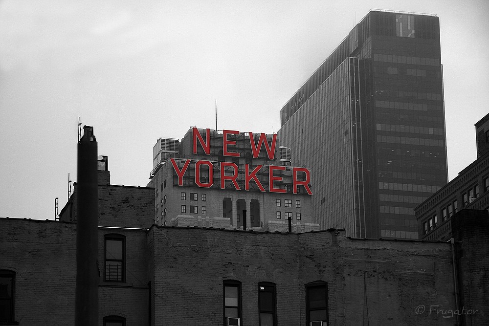 "New Yorker"...