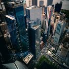 New Yorker Ansichten - Blick vom One World Trade Center