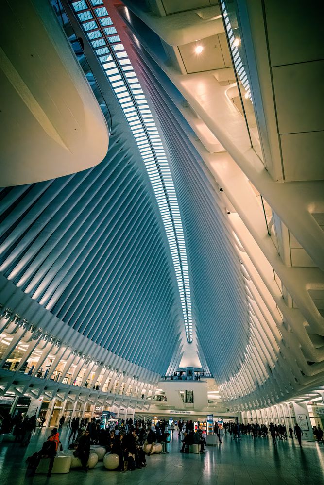 New Yorker Ansichten - Das Oculus (II) Foto & Bild | nyc ...