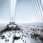 New Yorker Ansichten - Das Oculus (II)