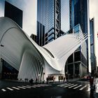 New Yorker Ansichten - Oculus (III)