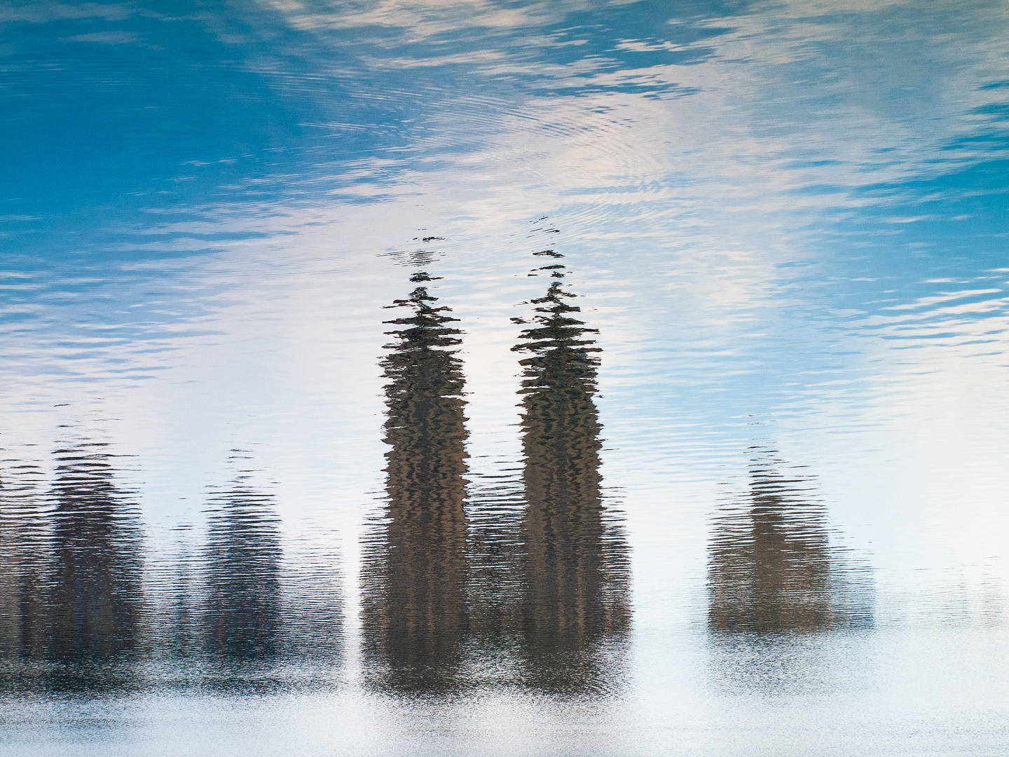 New Yorker Wolkenkratzer - Spiegelung im See des Central Park, Manhattan