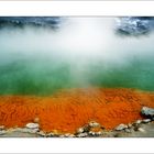 New Zealand - Champagne Pool II