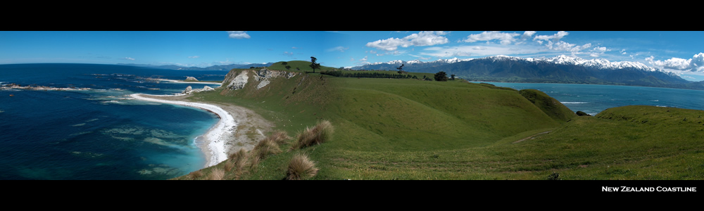 New Zealand Coastline