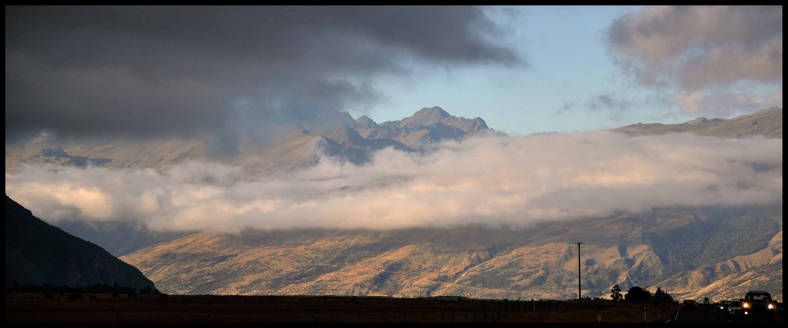 New Zealand driving